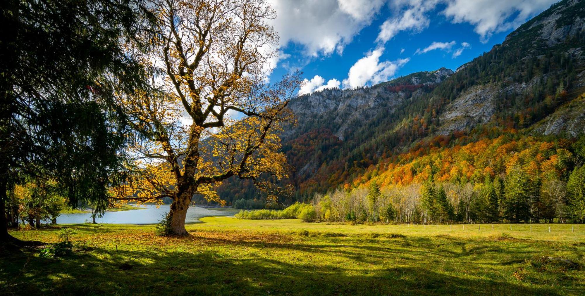 Ferienwohnungen Hollweger Inkl. Chiemgaukarte Ruhpolding Bagian luar foto