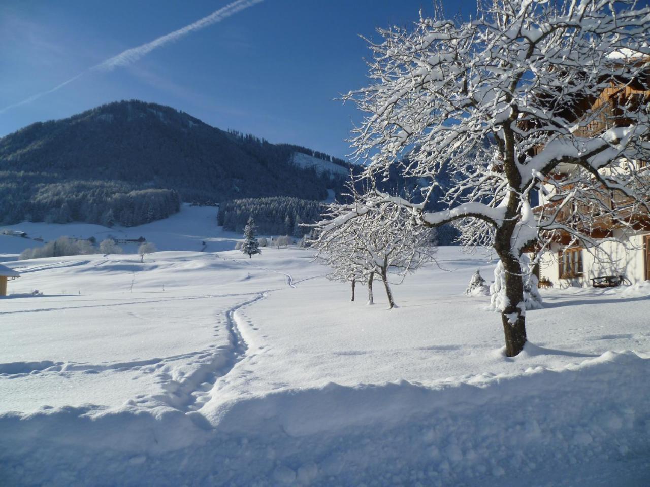 Ferienwohnungen Hollweger Inkl. Chiemgaukarte Ruhpolding Bagian luar foto